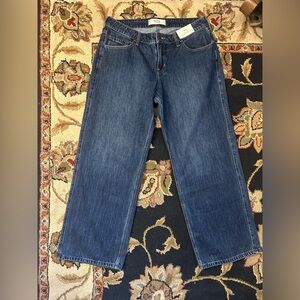 Hollister Low Rise Baggy Dark Wash Jeans